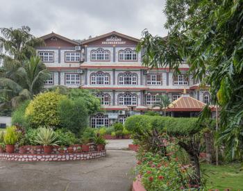 Avocado hotel 
